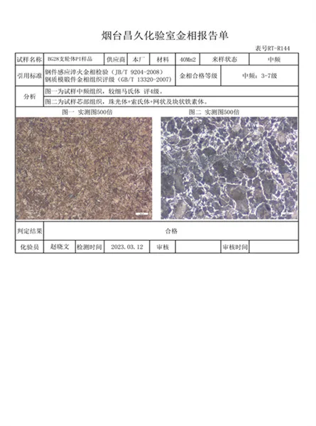 crawler cranes parts inspection certificate (10)